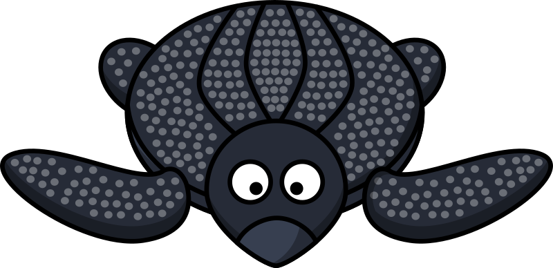 Leatherback Turtle