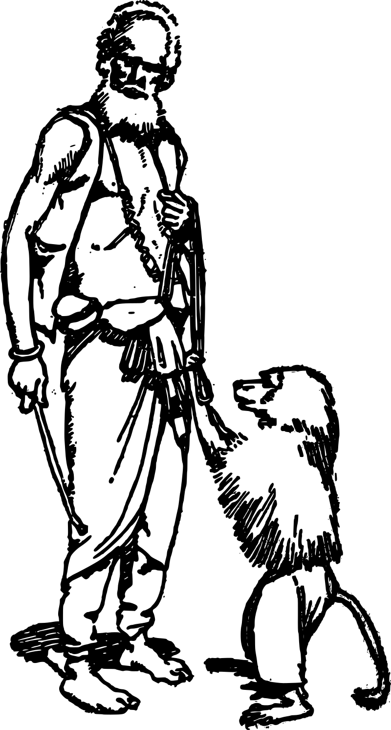 Old Man and Monkey Illustration