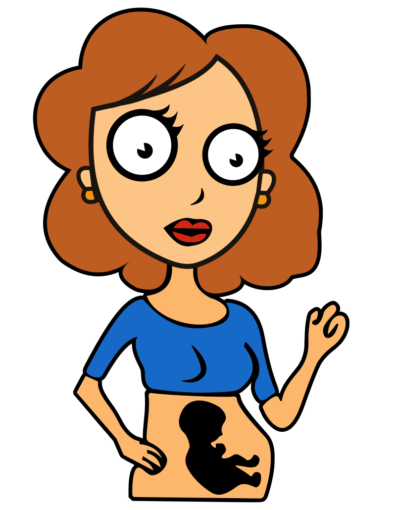 Cartoon Pregnant Woman with Fetus Silhouette