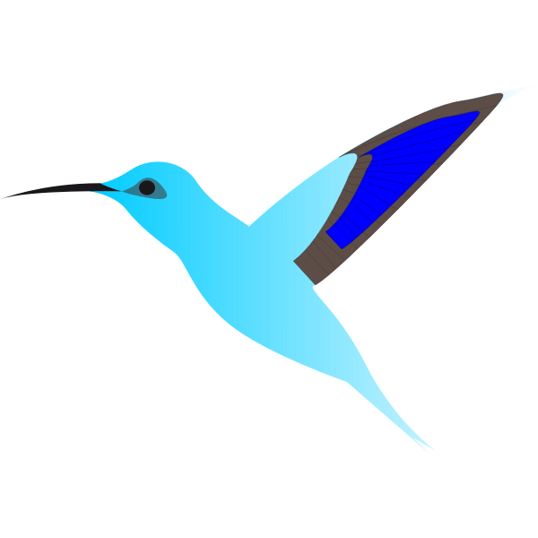 Graphics of humming bird in flight