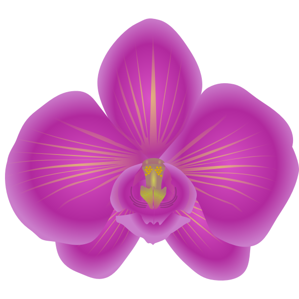orchid | Free SVG