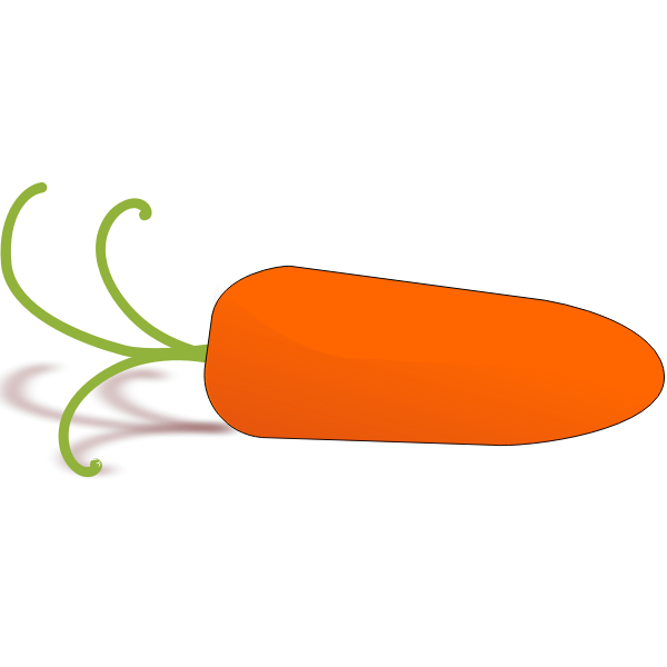 little carrot