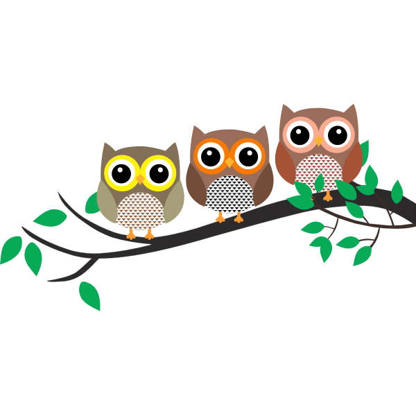 Three owls in a tree