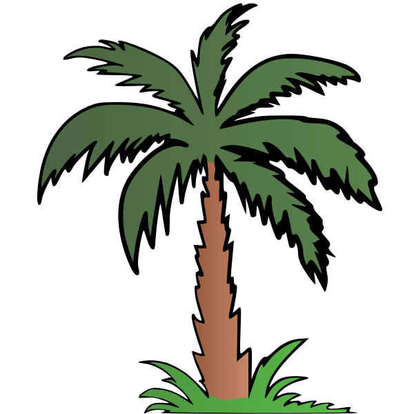 Palm Tree In Colour Free Svg