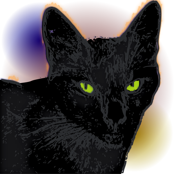 pandora gata negra