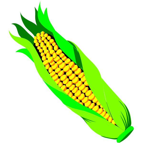 Color vector image of ar of corn