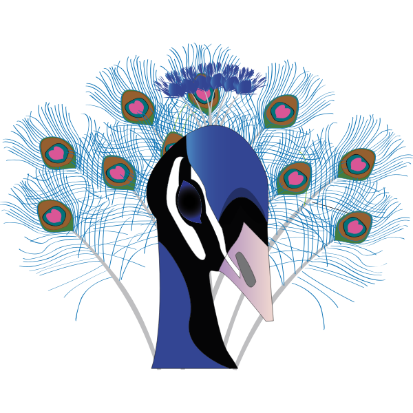 Peacock vector clip art Free SVG Peacock vector clip art Free SVG