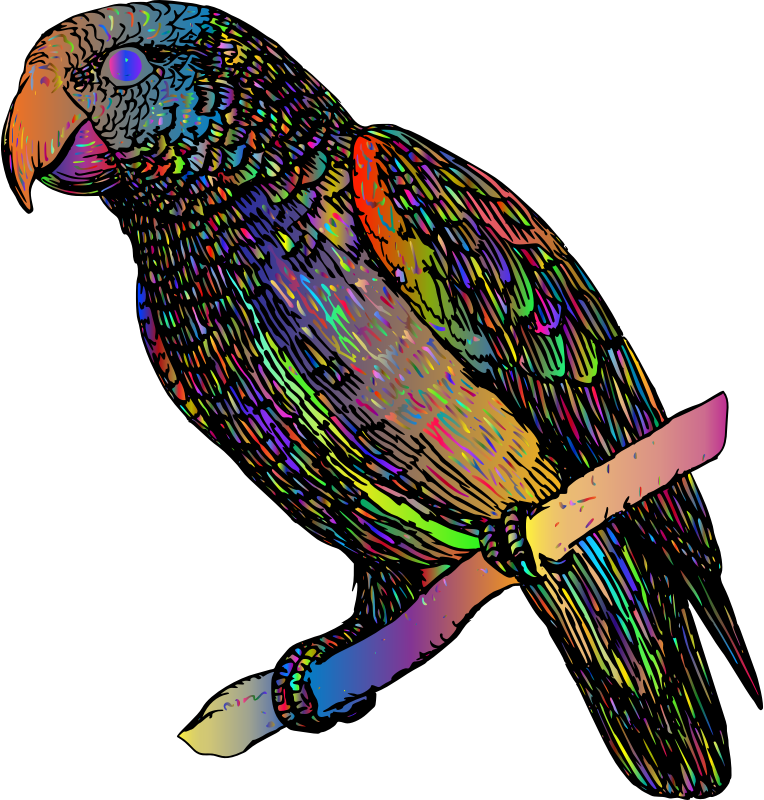 colourful parrot