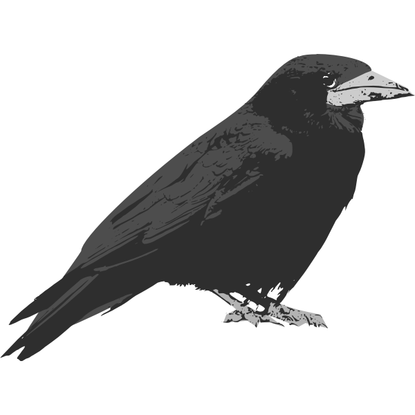 Raven bird vector clip art