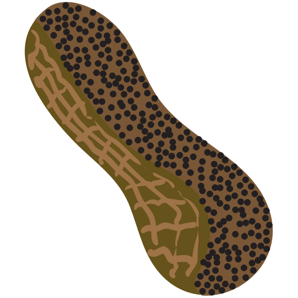 Peanut symbol | Free SVG