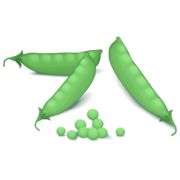 Green peas vector image