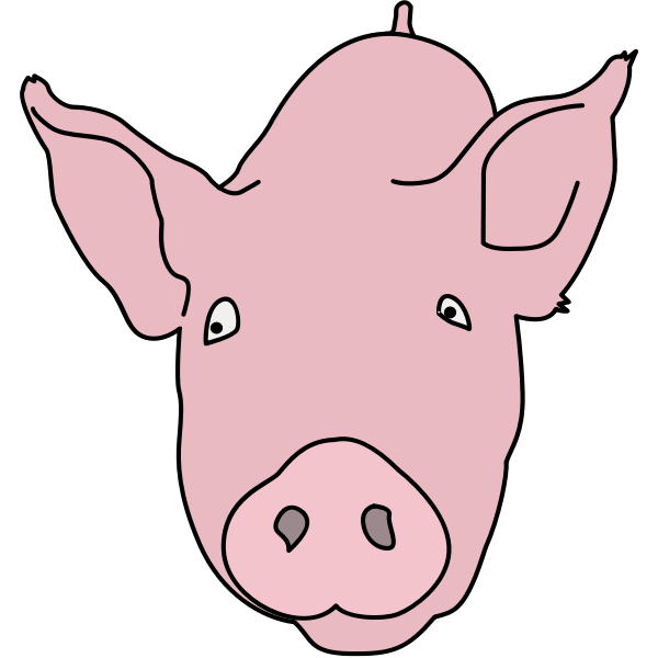 pig colour