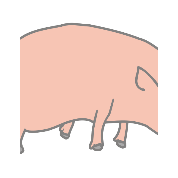 Vector image of orgami sculpture of pig