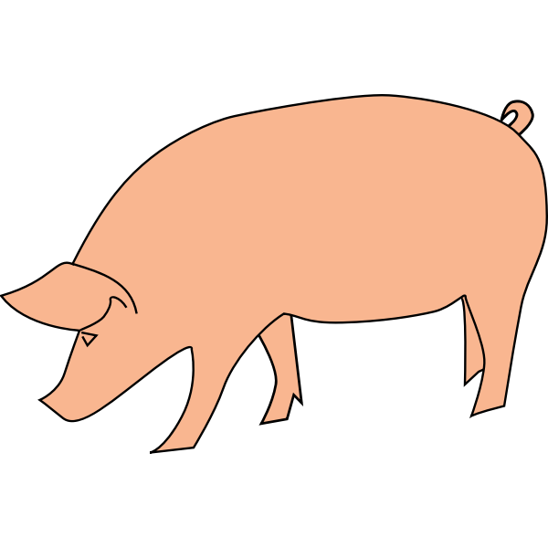 Pig foraging vector clip art