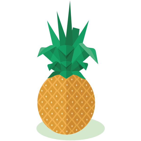 Pineapple fruit-1574260012
