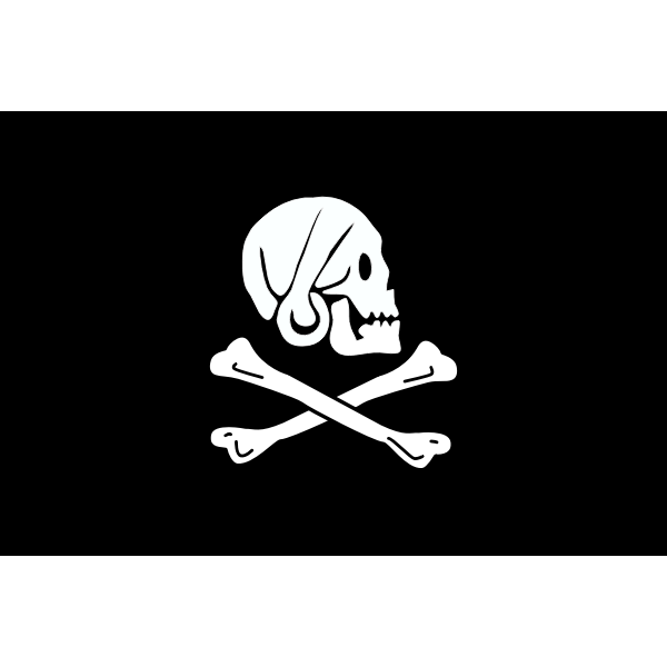 Vector illustration of pirate flag with skull looking sideways
