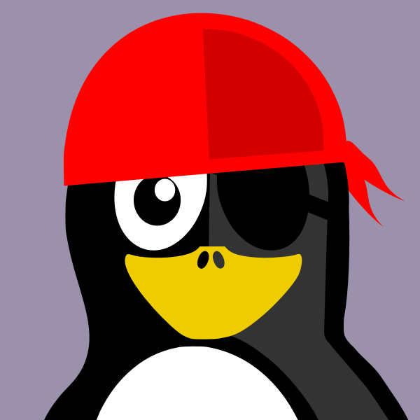 Pirate penguin profile vector image