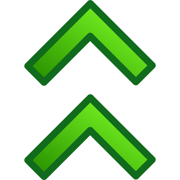 Double arrow pointing up vector image