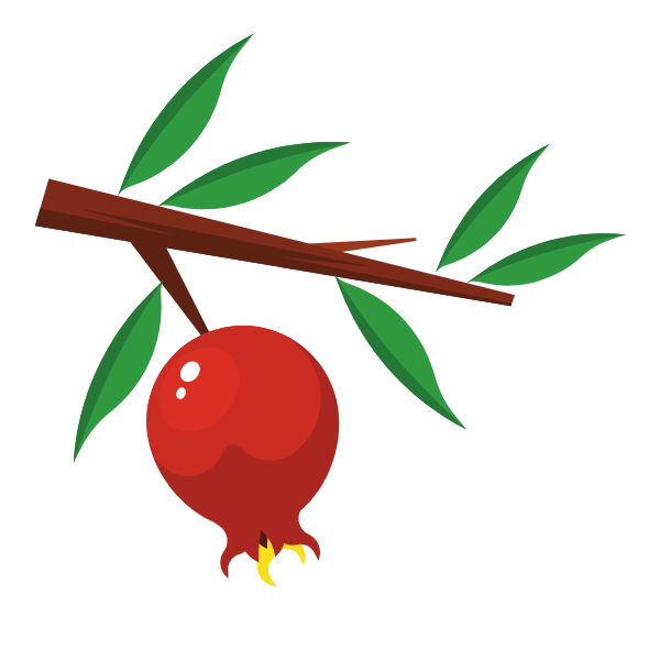 Pomegranate branch