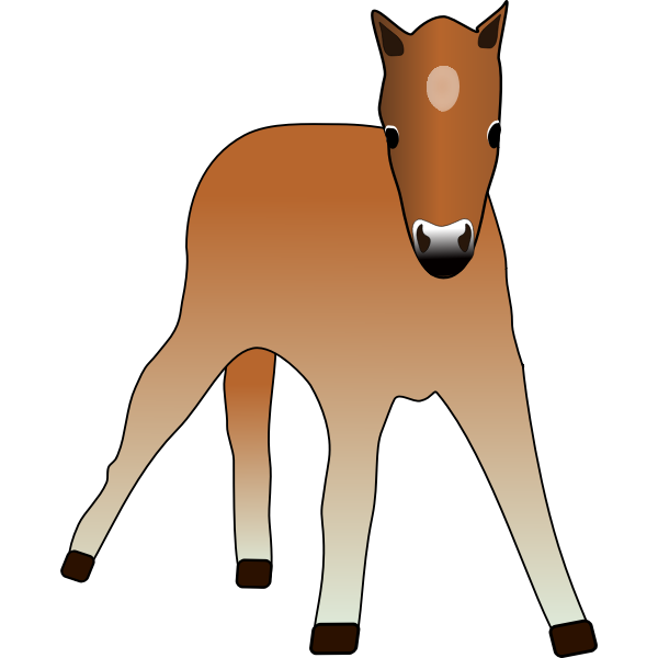 Vector drawing of young foal