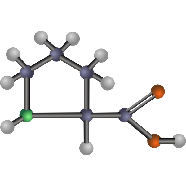 Proline (amino acid)