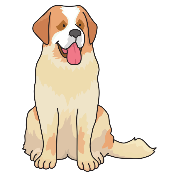 dog - Saint Bernard