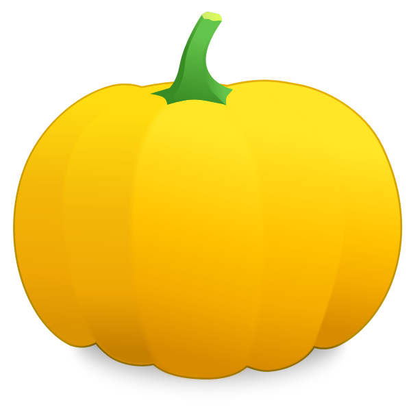 Yellow pumpkin vector image
