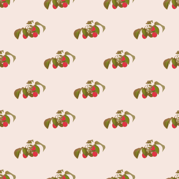 raspberry seamless pattern