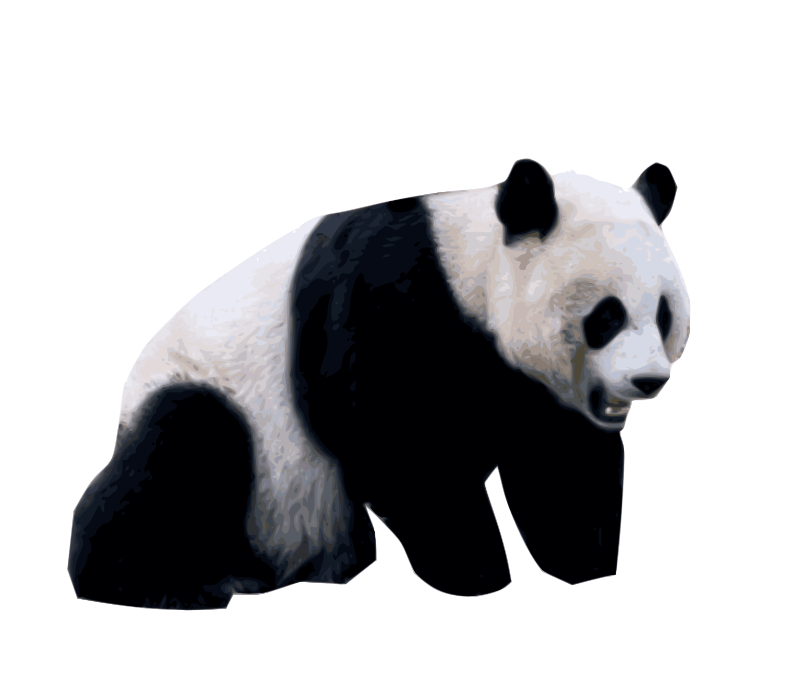 Panda-1669298814