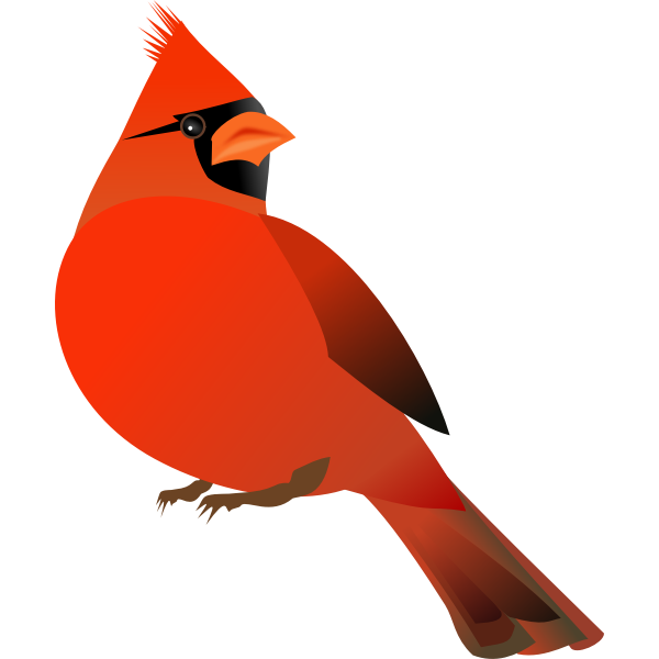 Red cardinal Free SVG