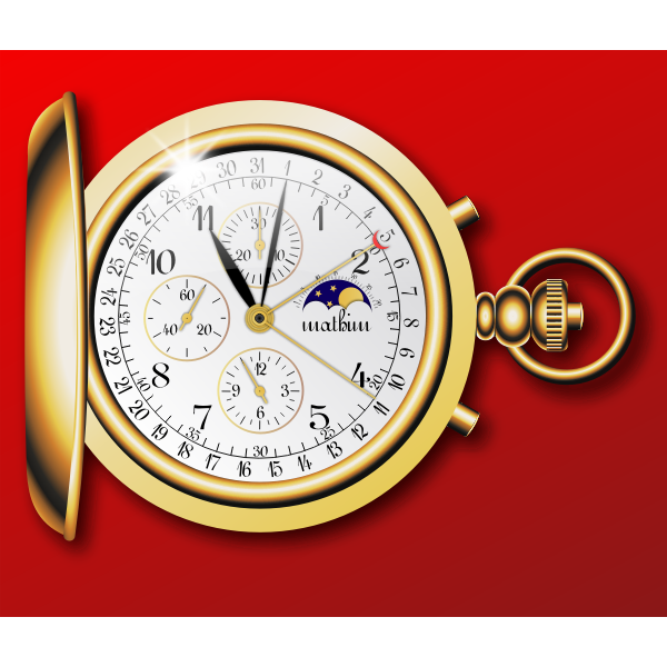 Pocketwatch vector image