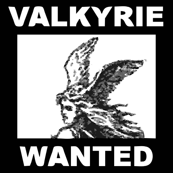 request Character 15 VALKYRIE 2015072837