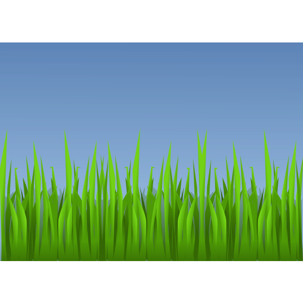 Green grass vector drawing