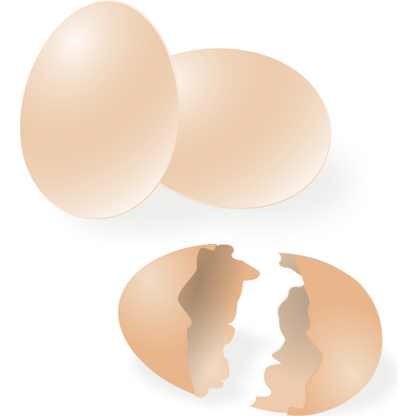 Broken and whole egg shell vector drawing