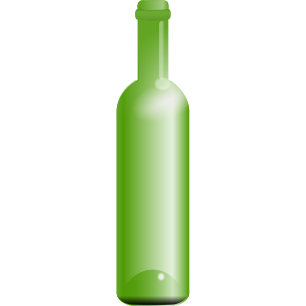 Green bottle vector image