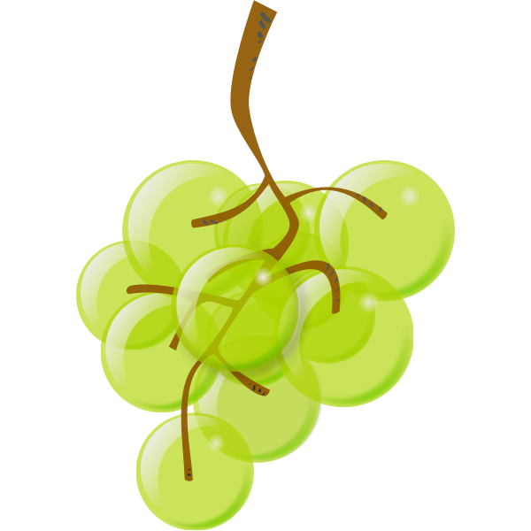 Vector graphics of semi-transparent green grapes