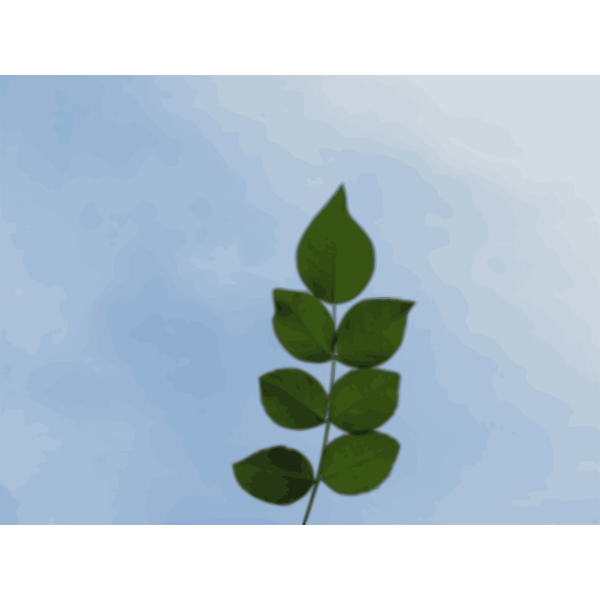 Rose leaves | Free SVG