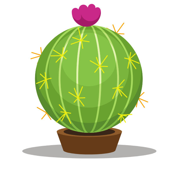 Round cactus plant