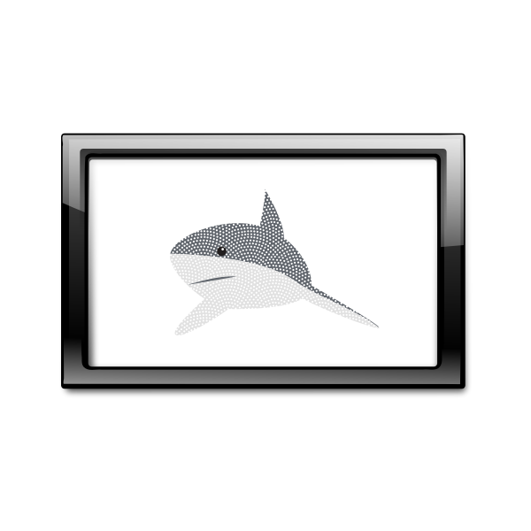 Shark in frame
