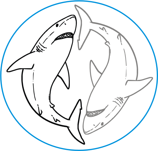 Great White Shark yinyang black gray