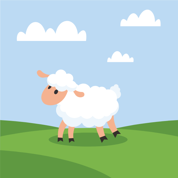 A cute sheep