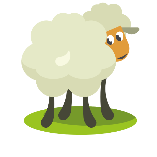 Shy sheep