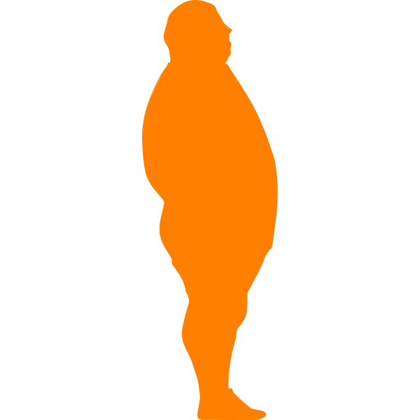 silouhette obesite I