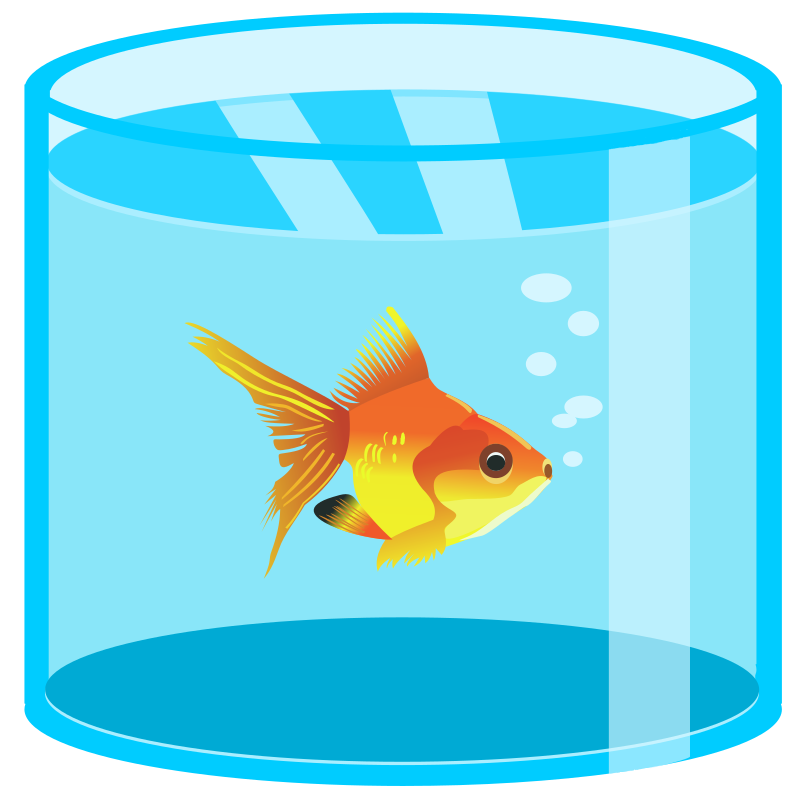 Aquarium with golden fish