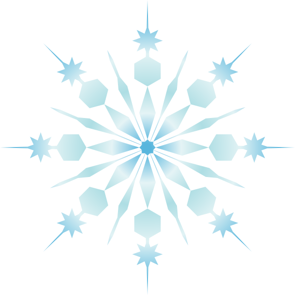 Snowflake art vector