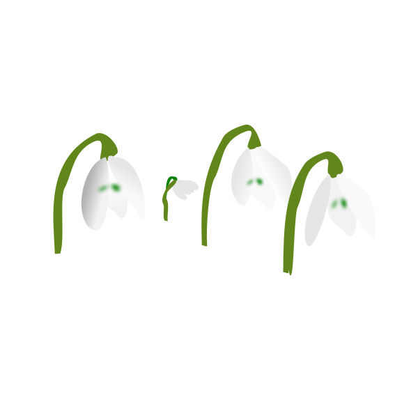 Free Free Snowdrop Svg 188 SVG PNG EPS DXF File