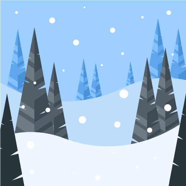 Snow in mountain forest