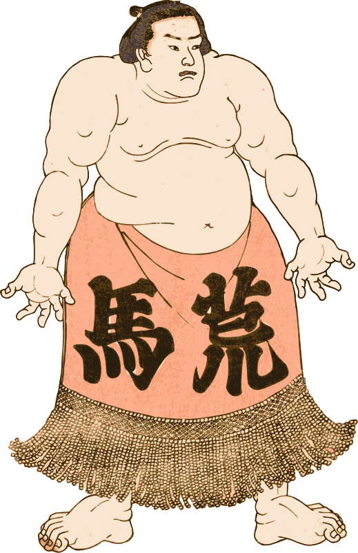 Sumo Guy