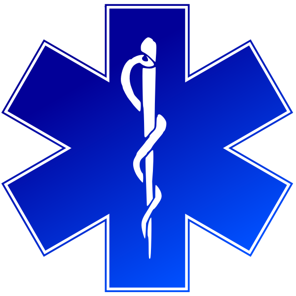 EMS (emergency medical service) logo