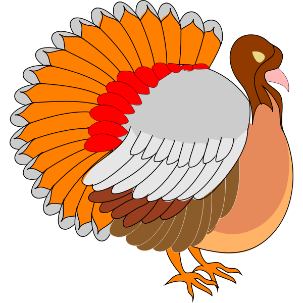 Turkey vector image